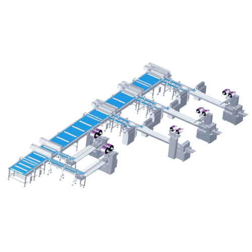 Automation Feeding System Packing Machine-xx